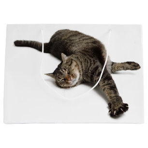 Lazy Cat Stretch Große Geschenktüte