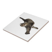 Lazy Cat Stretching Fliese (Seite)