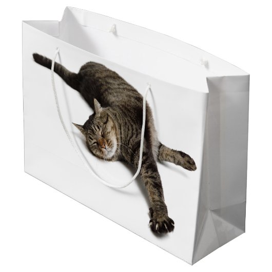 Lazy Cat Stretching Große Geschenktüte (Rückseite Schrägansicht)