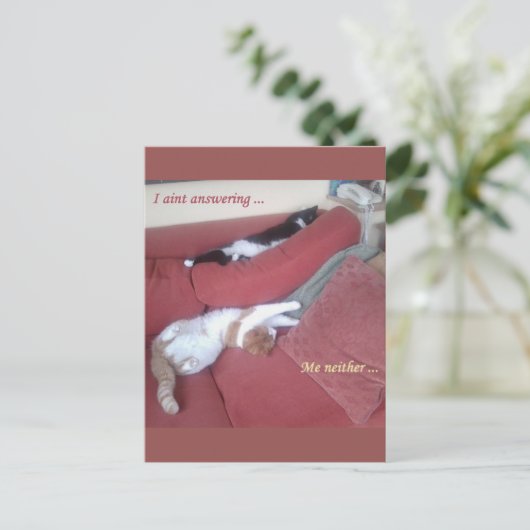 Lazy Cats Fun Postkarte - Catnap (Stehend Vorderseite)