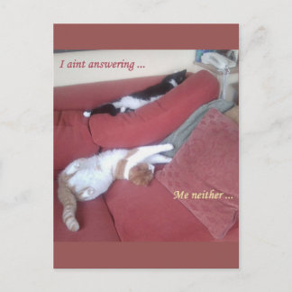 Lazy Cats Fun Postkarte - Catnap