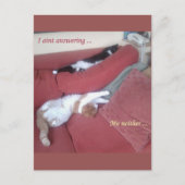 Lazy Cats Fun Postkarte - Catnap (Vorderseite)