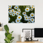 Lazy Daisy Afternoon Poster (Heimbüro)