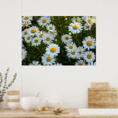 Lazy Daisy Afternoon Poster (Küche)