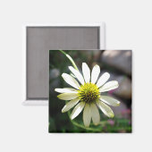 Lazy Daisy Summer Day Magnet (Vorderseite/Rückseite)