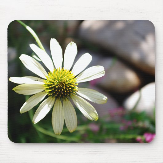 Lazy Daisy Summer Day Mousepad (Vorne)