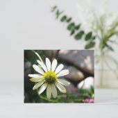 Lazy Daisy Summer Day Postcard Postkarte (Stehend Vorderseite)
