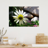 Lazy Daisy Summer Day Print Poster (Küche)