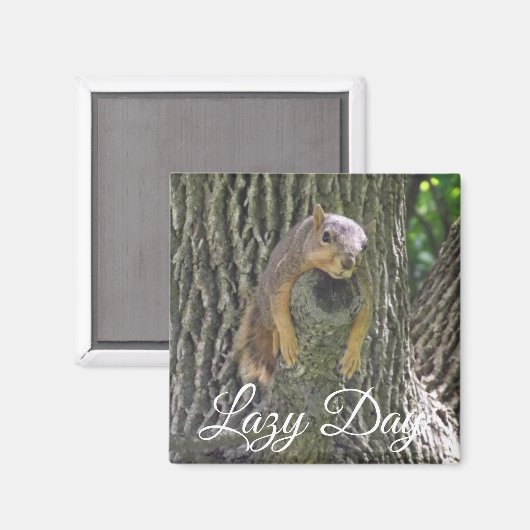 Lazy Day Funny Eichhörnchen schlafend in Tree Magnet (Vorderseite/Rückseite)