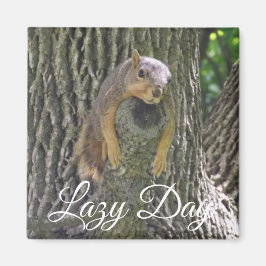 Lazy Day Funny Eichhörnchen schlafend in Tree Magnet