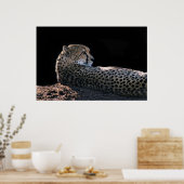 Lazy Day Poster (Küche)