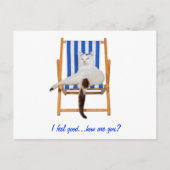 Lazy Day`s Postkarte (Vorderseite)