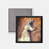 Lazy Days Kangaroo Magnet (Vorderseite/Rückseite)