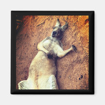 Lazy Days Kangaroo Magnet