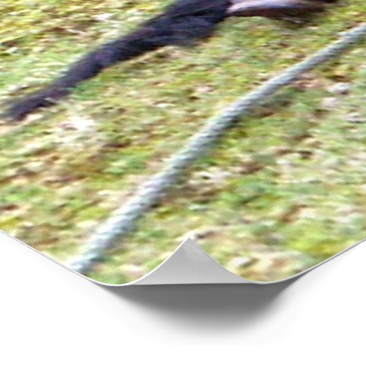 Lazy Days Leinwand Poster (Ecke)