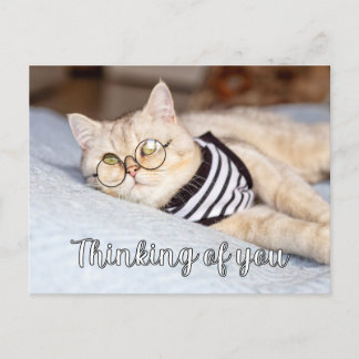 Lazy Days - Niedliche Kitty Cat Postkarte
