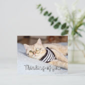 Lazy Days - Niedliche Kitty Cat Postkarte (Stehend Vorderseite)