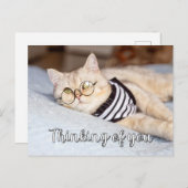 Lazy Days - Niedliche Kitty Cat Postkarte (Vorne/Hinten)