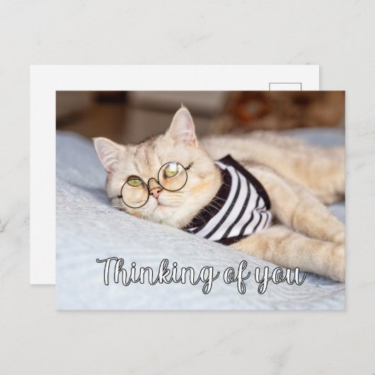 Lazy Days - Niedliche Kitty Cat Postkarte (Vorne/Hinten)