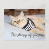 Lazy Days - Niedliche Kitty Cat Postkarte (Vorderseite)