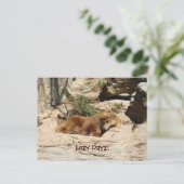 Lazy Dayz Bear Postkarte (Stehend Vorderseite)