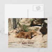 Lazy Dayz Bear Postkarte (Vorne/Hinten)