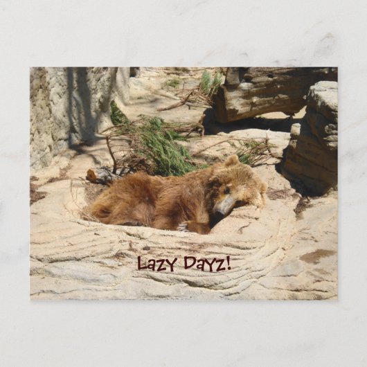 Lazy Dayz Bear Postkarte (Vorderseite)