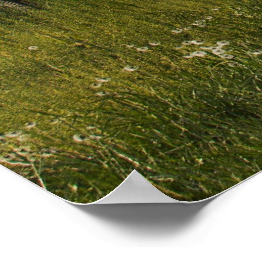 Lazy Dayz Poster (Ecke)