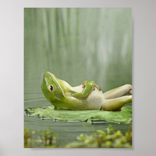 Lazy Frog Poster (Vorne)