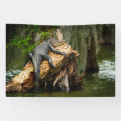 Lazy Gator 4x6' Banner (Horizontal)