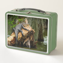 Lazy Gator Cypress Suamp Lunch Box von DeGruy