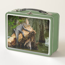 Lazy Gator Cypress Suamp Lunch Box von DeGruy