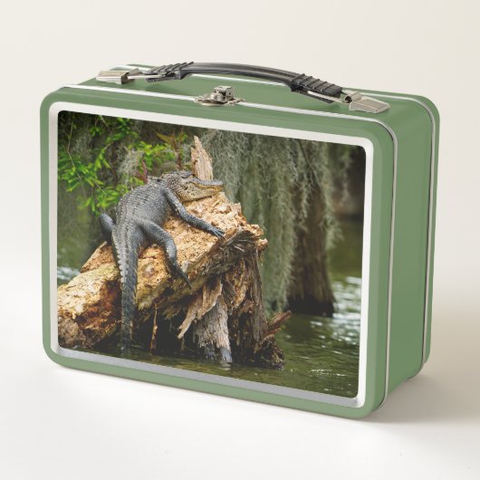 Lazy Gator Cypress Suamp Lunch Box von DeGruy (Vorderseite)