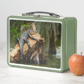 Lazy Gator Cypress Suamp Lunch Box von DeGruy (Beispiel)