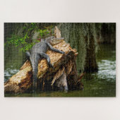 Lazy Gator Jigsaw Puzzle (Horizontal)