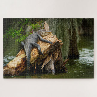 Lazy Gator Jigsaw Puzzle