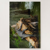 Lazy Gator Jigsaw Puzzle (Vertikal)