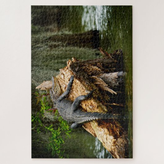 Lazy Gator Jigsaw Puzzle (Vertikal)