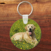 Lazy Golden Schlüsselanhänger (Vorderseite)