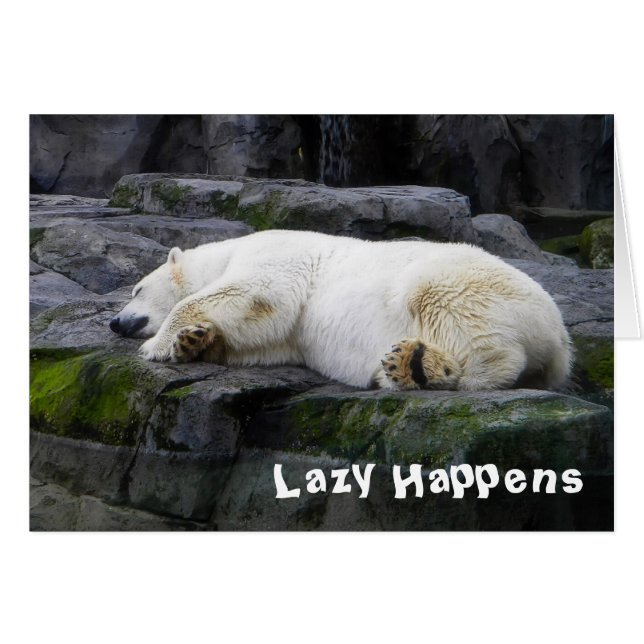 Lazy Happens Polar Bear (Vorderseite (Horizontal))