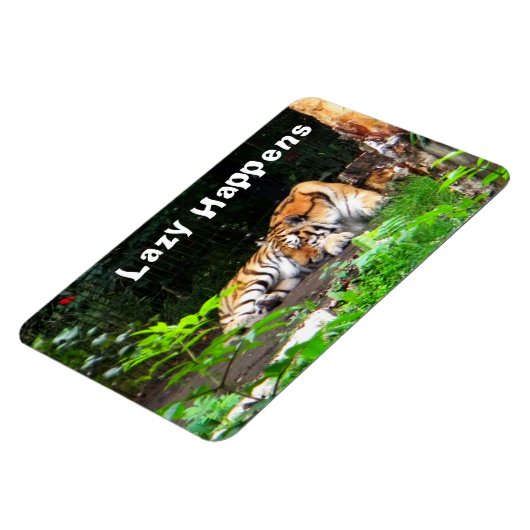 Lazy Happens Siberian Tiger Magnet (Linke Seite)