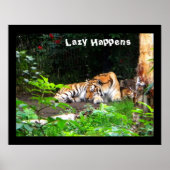 Lazy Happens Siberian Tiger Poster (Vorne)