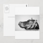 Lazy Hippo Postkarte (Vorne/Hinten)