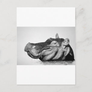 Lazy Hippo Postkarte