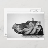 Lazy Hippo Postkarte (Vorne/Hinten)