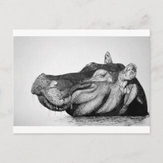 Lazy Hippo Postkarte