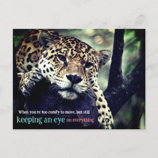 Lazy Jaguar in Foto Feiertagspostkarte