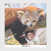 Lazy kleine rote Panda Aufkleber (Blatt)