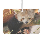 Lazy kleine rote Panda Autolufterfrischer (Vorderseite)