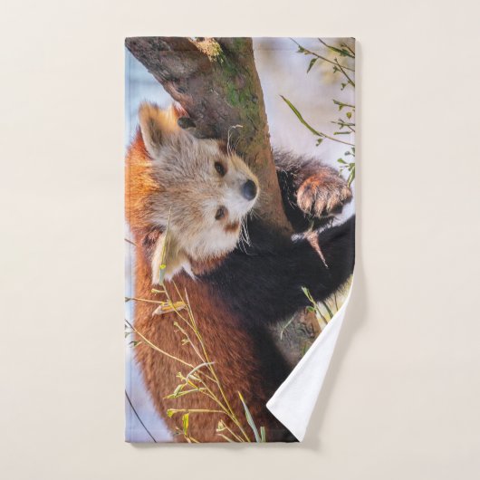 Lazy kleine rote Panda Badhandtuch Set (Handtuch)